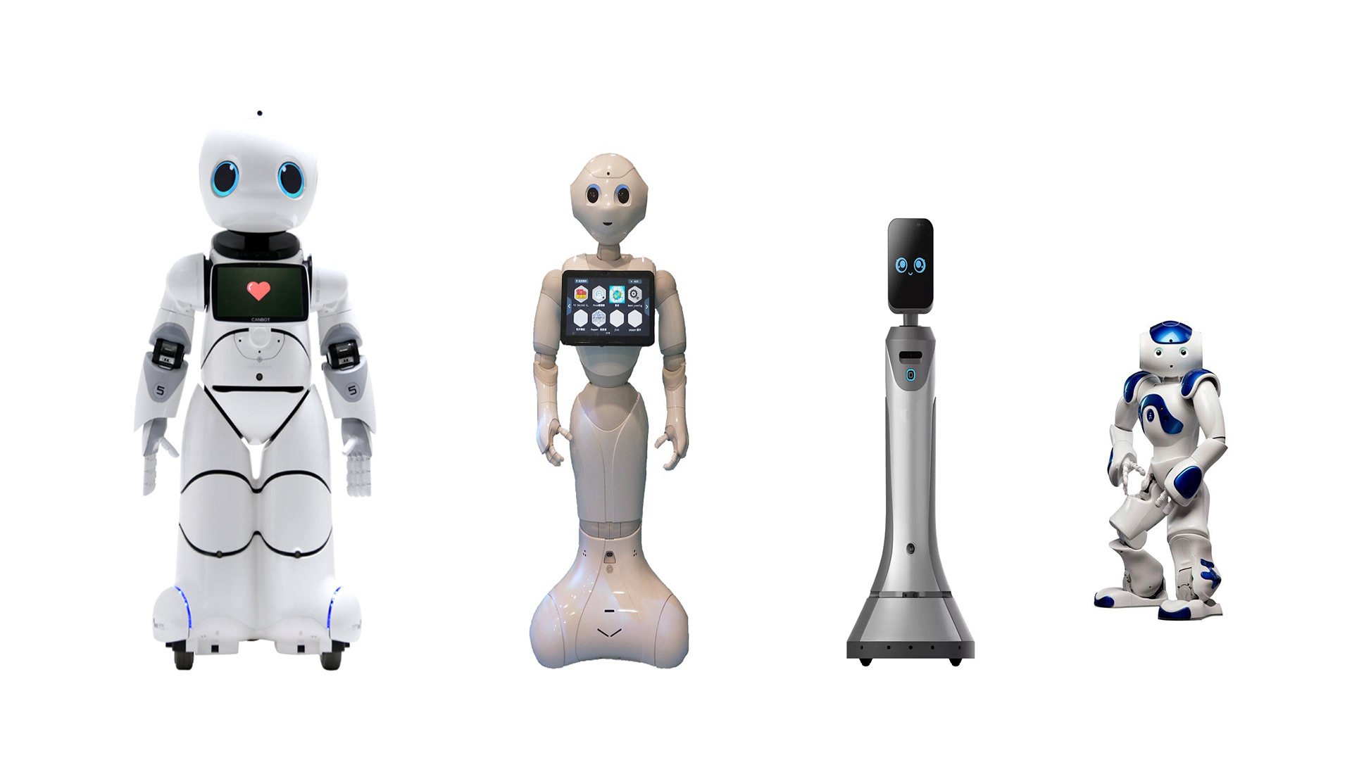 机器人租赁 机器人定制 送餐机器人 跳舞机器人 主持机器人|资源-元