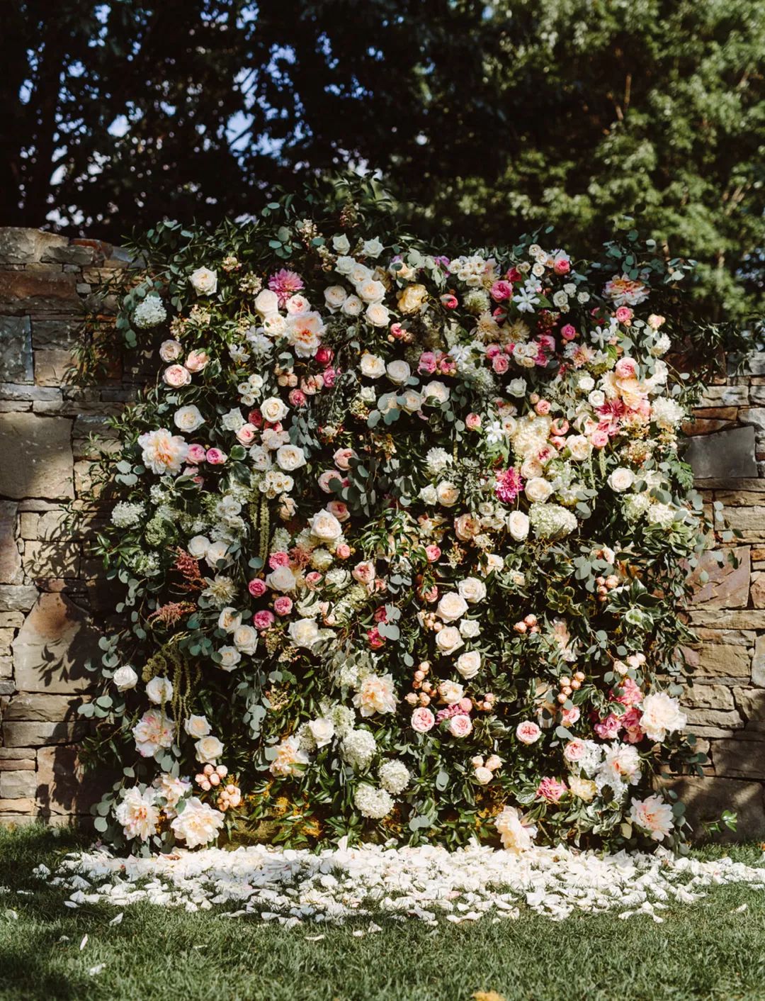 玫瑰怒放的墙 婚礼仪式背景是一面完全由玫瑰鲜花和绿叶组成的花墙,这