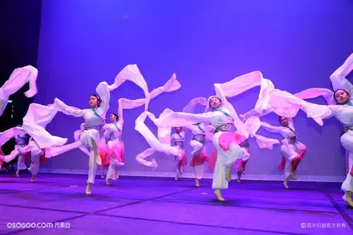 《水袖舞》：中国古典舞节目表演，欢迎咨询预订