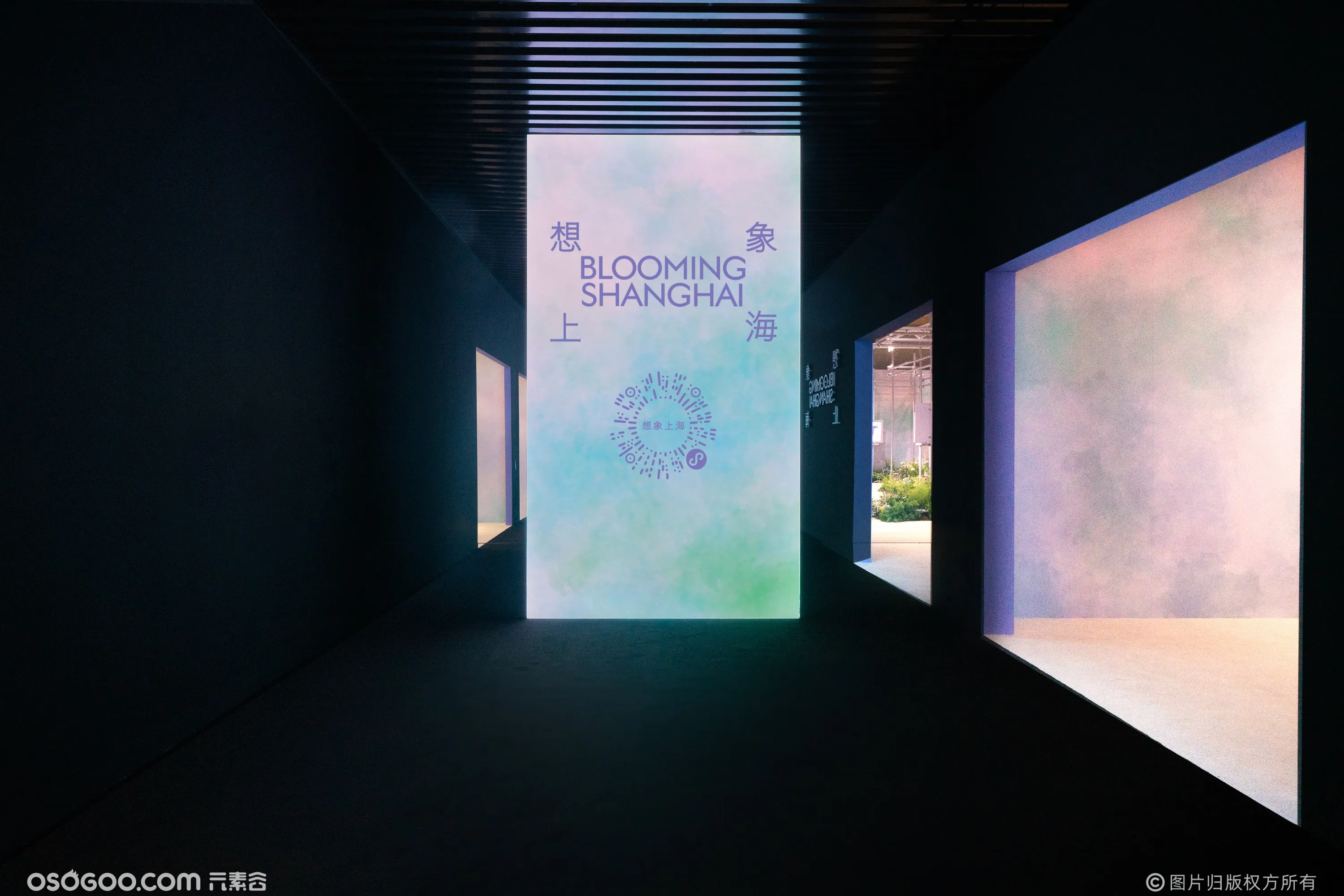 想象上海BloomingShanghai艺术征集企划特别呈现