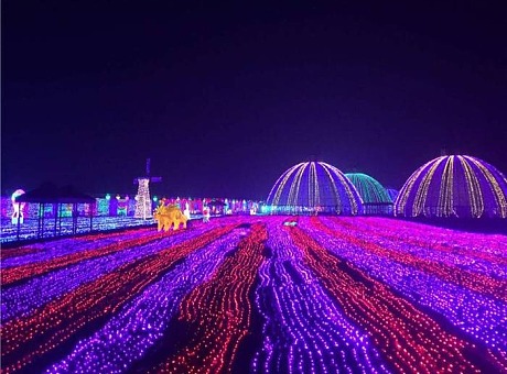 上海幕明承接各类艺术灯光展 景区亮化工程