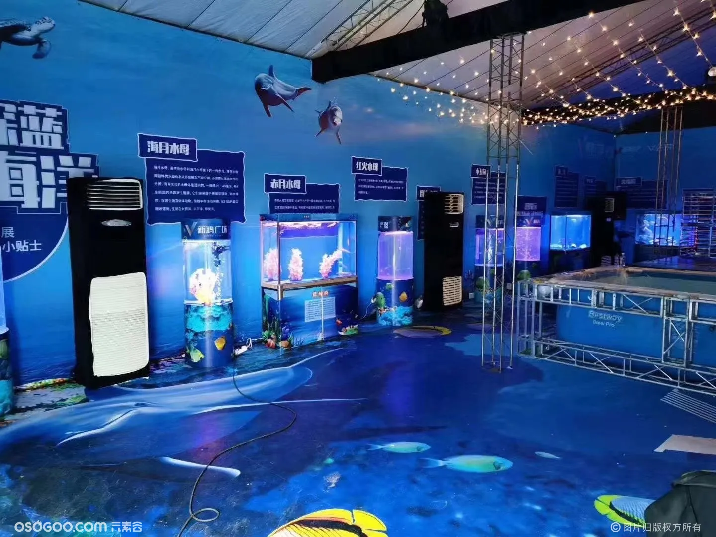 海洋展资源出租海洋生物企鹅海狮节目表演租赁