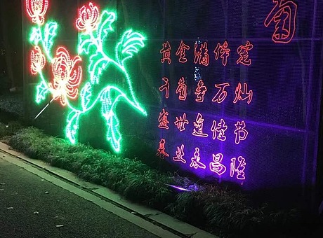 灯光节如同璀璨繁星，点亮了城市的夜晚，让人感受到梦幻般的美丽