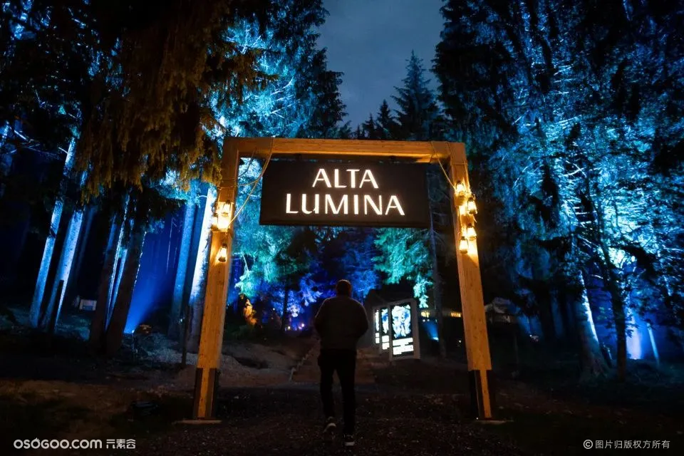 Alta Lumina沉浸式夜游项目