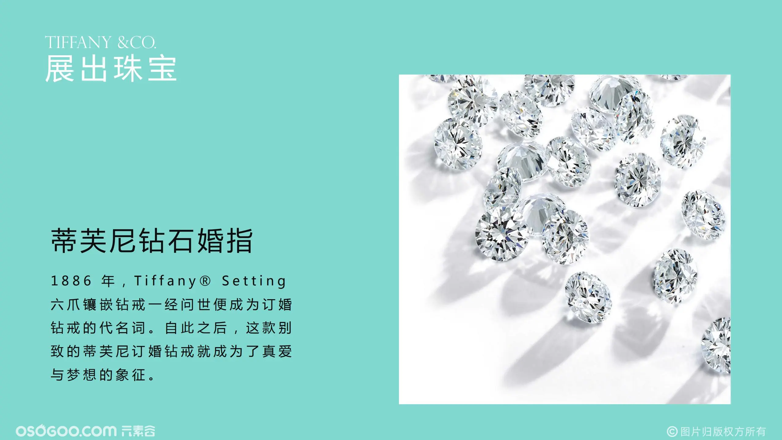 Tiffany 奢侈品蒂芙尼璀璨珠宝展览展示