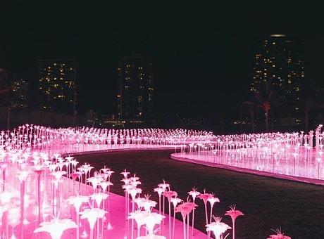 25000个LED灯装置的花海