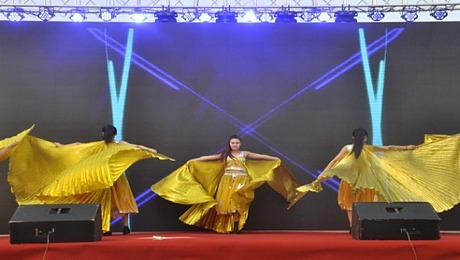 《阿拉伯金翅舞》：舞蹈类节目表演