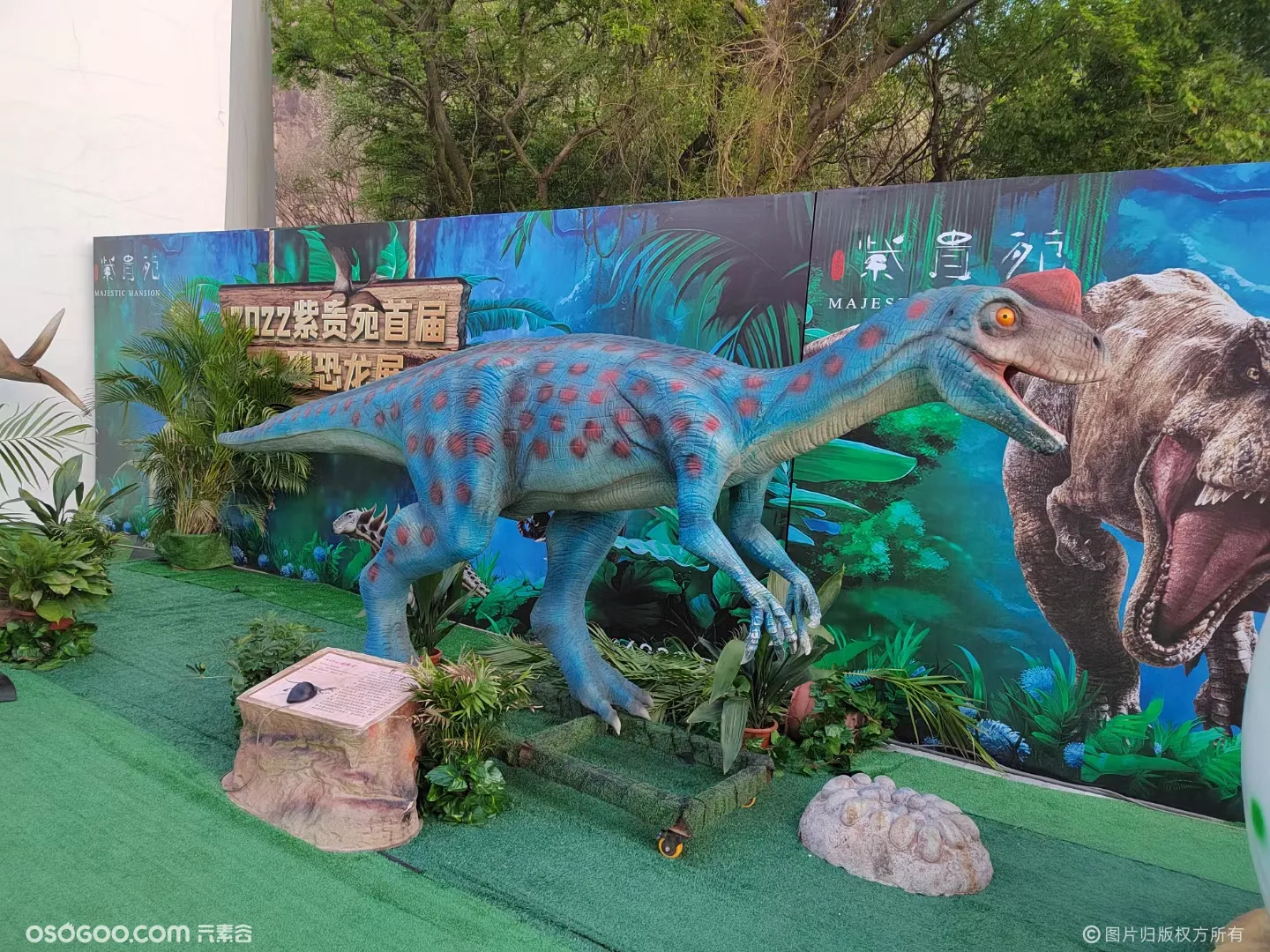 恐龙八月展儿童乐园仿真恐龙租赁