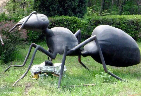 昆虫雕塑玻璃钢昆虫模型道具展示