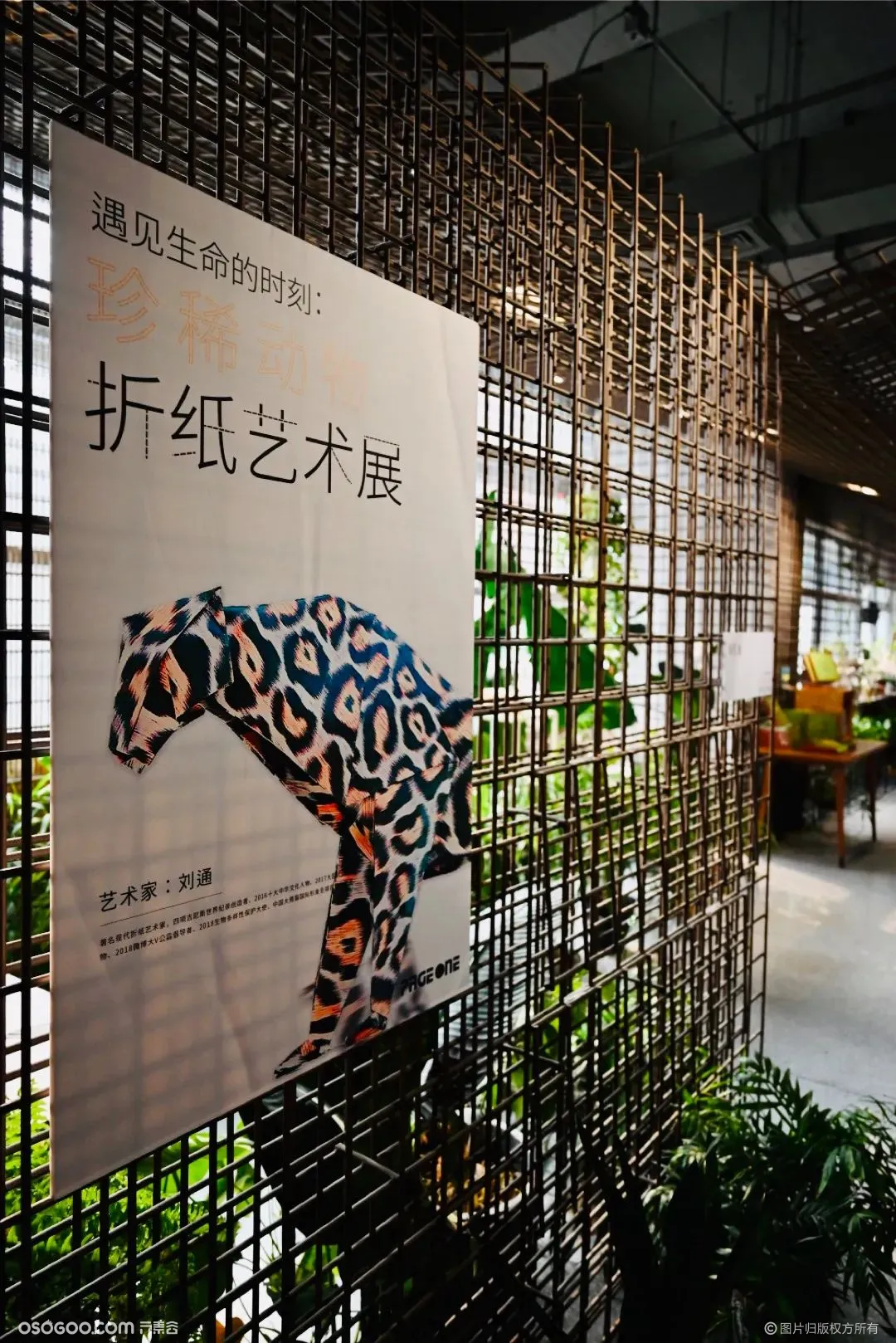 遇见生命的时刻：珍稀动物折纸艺术展