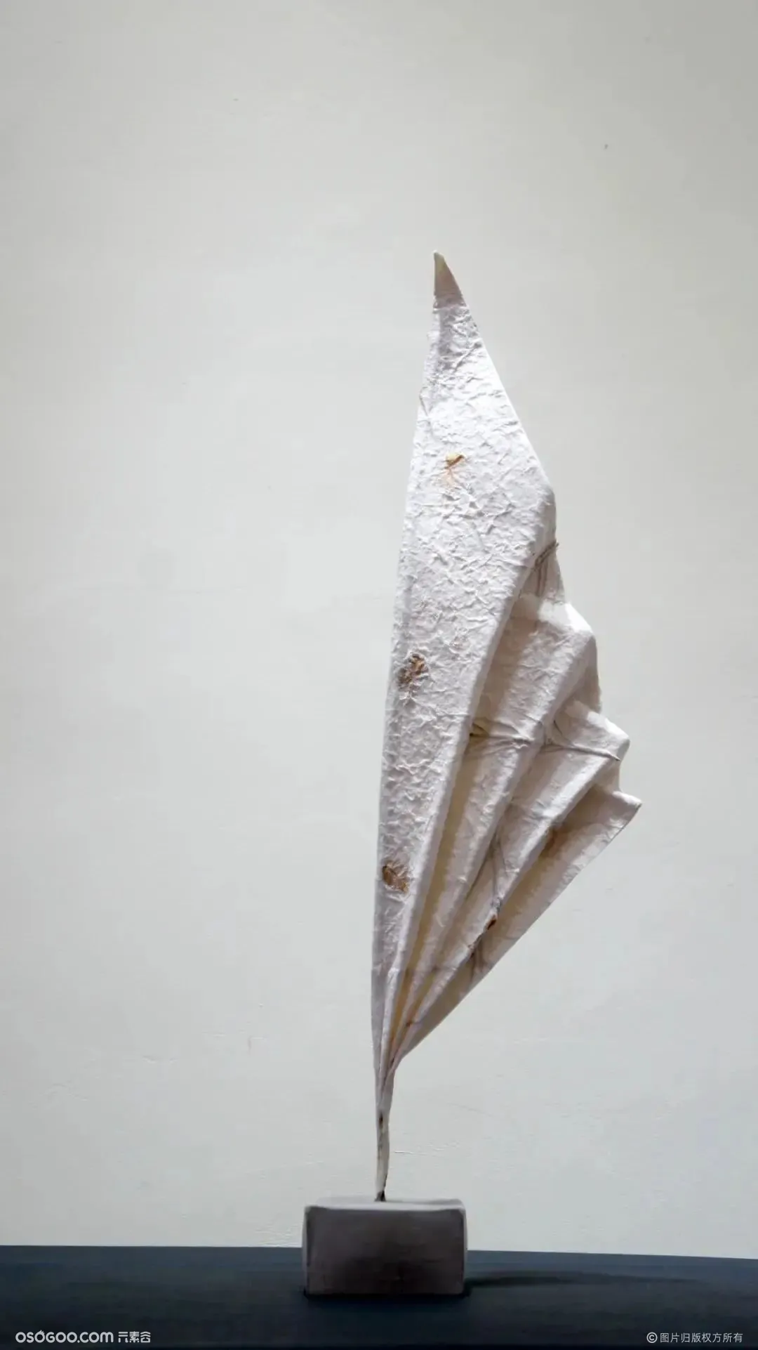 遇见生命的时刻：珍稀动物折纸艺术展