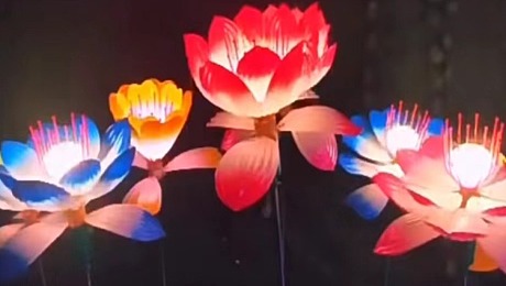 仿真动态荷花造型灯 新年春节灯光特色花灯