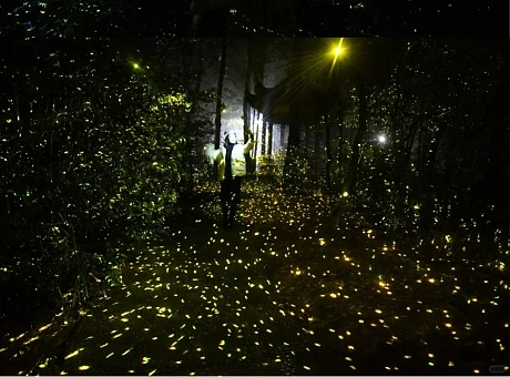 萤火虫森林投影灯 文旅夜游灯光互动装置