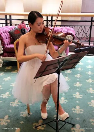 《小提琴》：器乐演奏类节目表演，欢迎咨询预订演出
