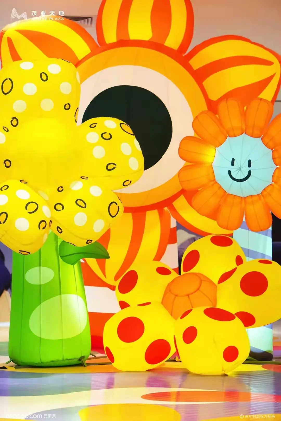 大明气模——茂业momo的花花世界