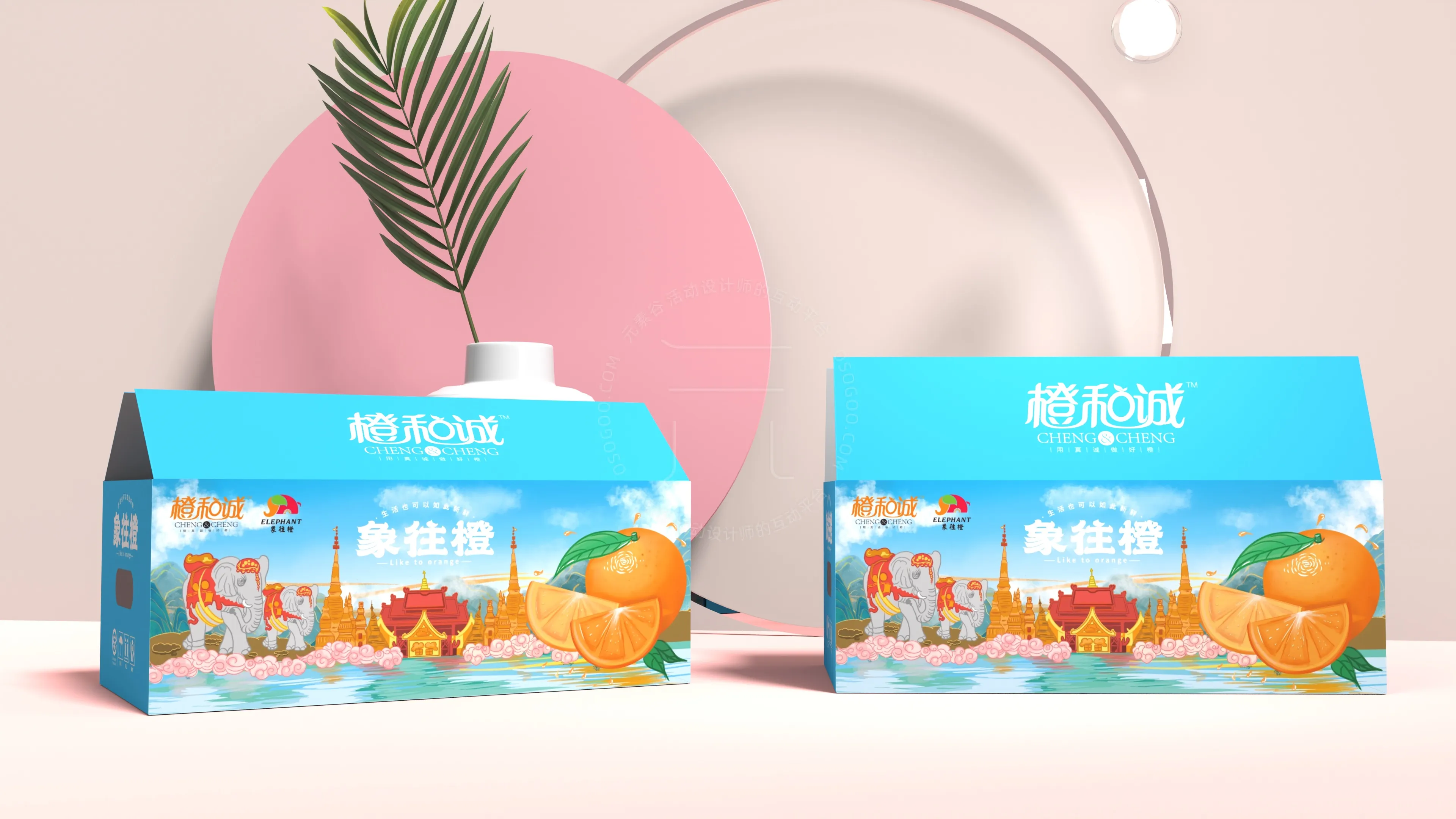聚恒广告x象往橙/橙子包装设计 