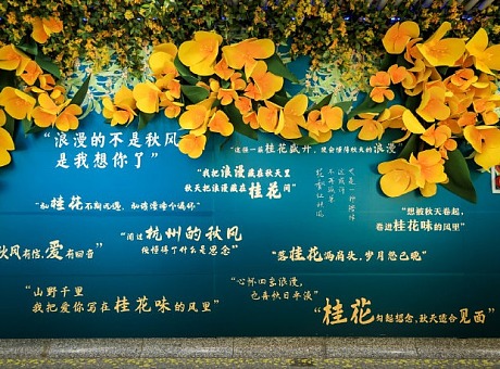 《桂花是杭州的浪漫》沉浸式艺术展
