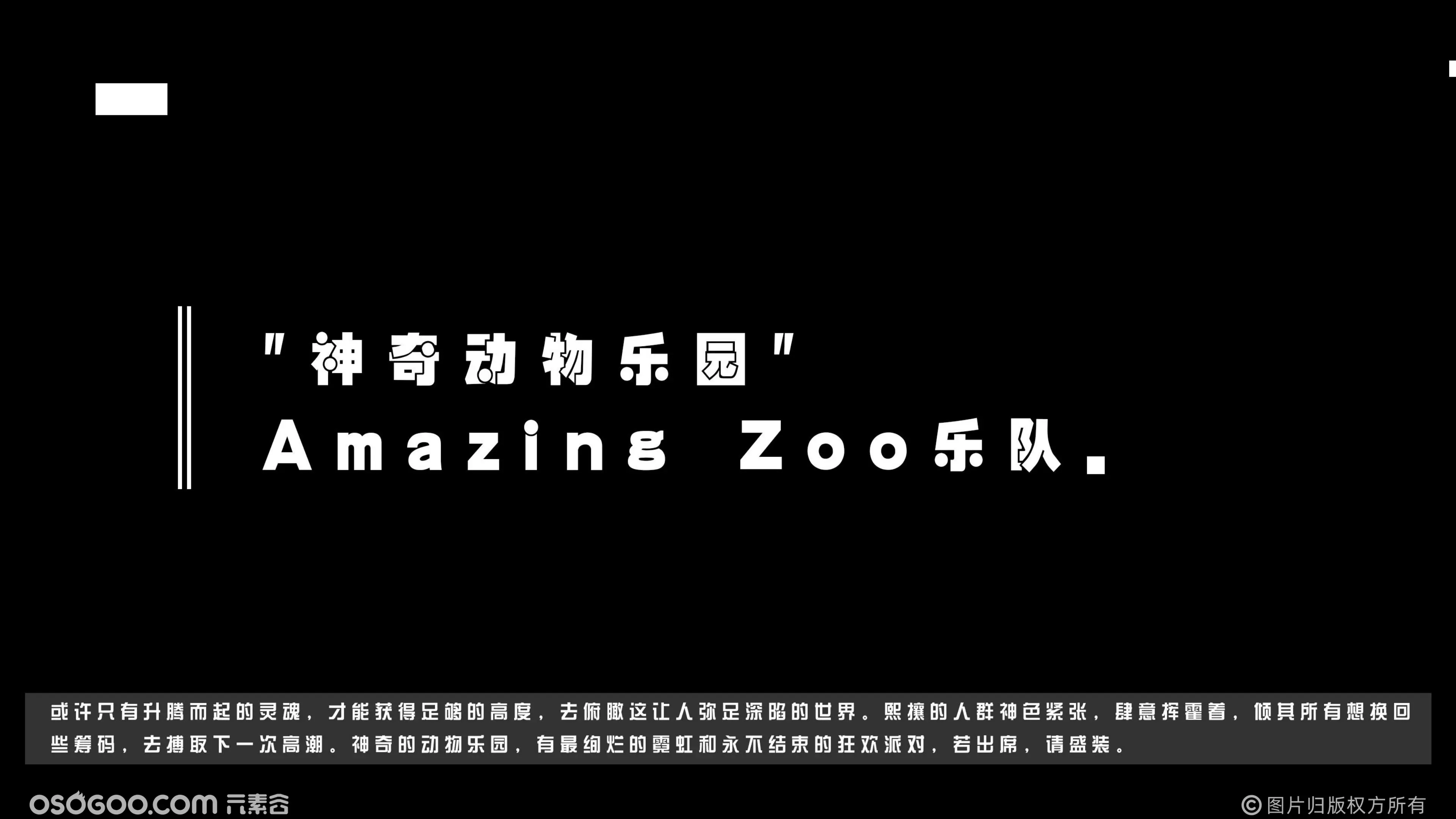 Amazing Zoo神奇动物乐园乐队 