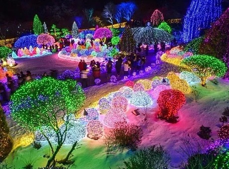 韩国首尔圣诞灯光秀“晨静树木园”