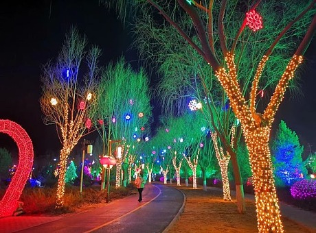 上海幕明圣诞新年灯光装饰 广场街道树木亮化造景