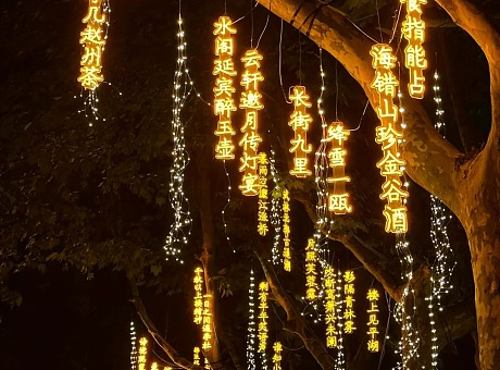 古诗词灯串  户外灯光亮化树木装饰灯