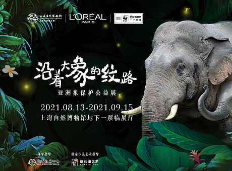 亚洲象保护公益展｜沿着大象的纹路