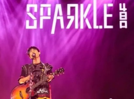 大张伟“SPARKLE48口”出道20周年演唱会