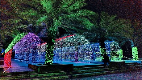 上海幕明户外灯光美化 景区灯光装饰 公园灯光造型摆件