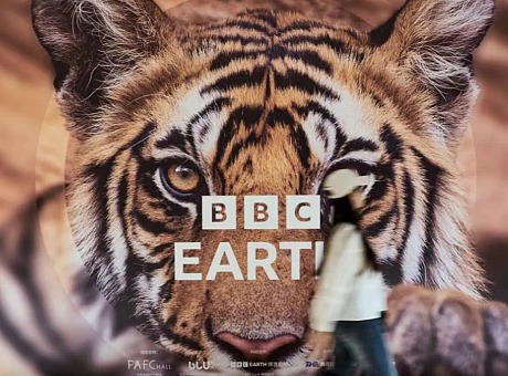 BBC Earth「生灵奇迹」巡展深圳站