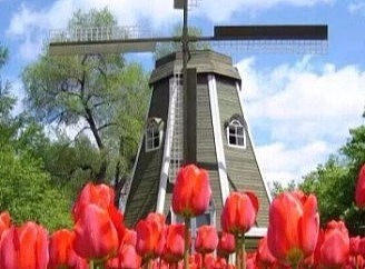 荷兰风车出租出售 订制定做2米5米10米15米规格尺寸