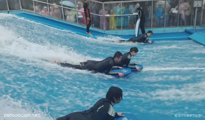 水上冲浪夏季滑板冲浪活动道具