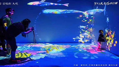 全息沉浸式互光影展，花海互动，鲸鱼互动，全息投影 3D投影