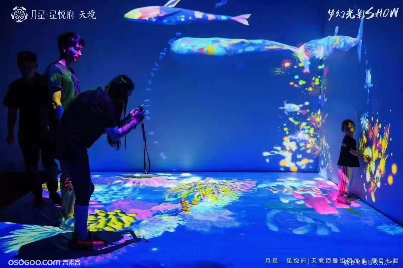 全息沉浸式互光影展，花海互动，鲸鱼互动，全息投影 3D投影