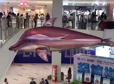 私人定制海豚模型无人机飞行表演