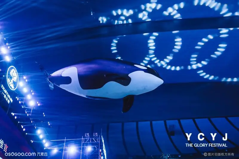 高科技无人机飞行鲸鱼