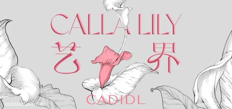 《CALLA LILY艺·界》新品发布会