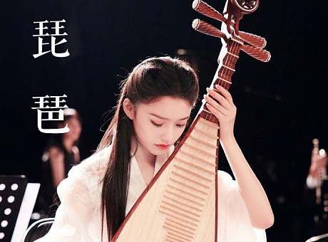 中国古典乐器——琵琶