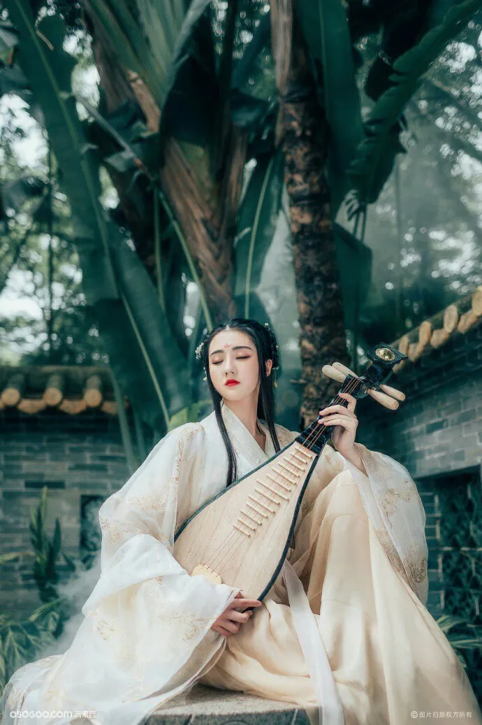 中国古典乐器——琵琶