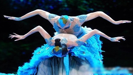 《雀之恋》：中国民族民间舞傣族舞蹈节目表演，欢迎咨询预订