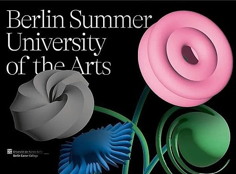 柏林夏季艺术大学系列海报：区域和界面