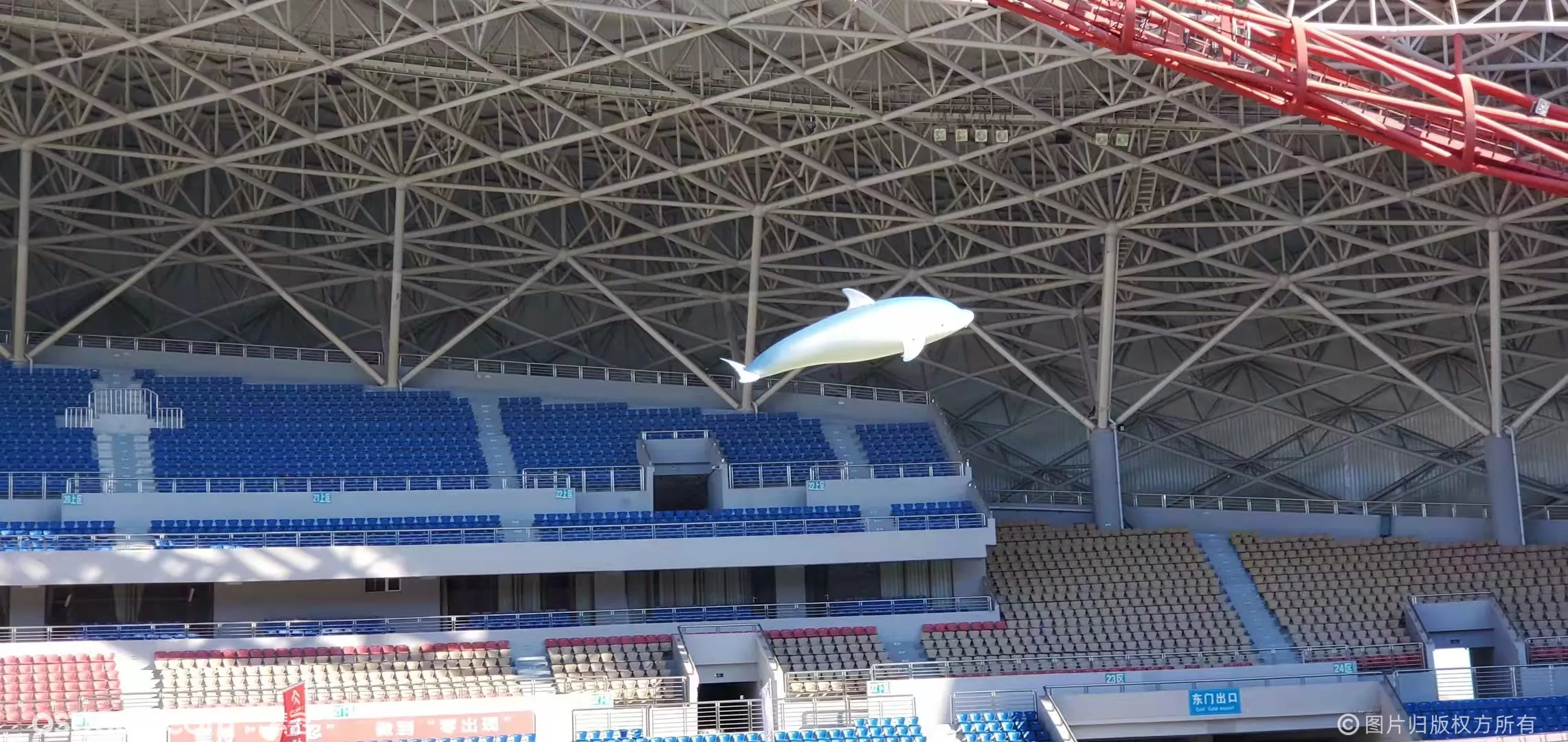 蓝色海豚飞行 飞行海豚 海豚无人机 空中海豚飞行 