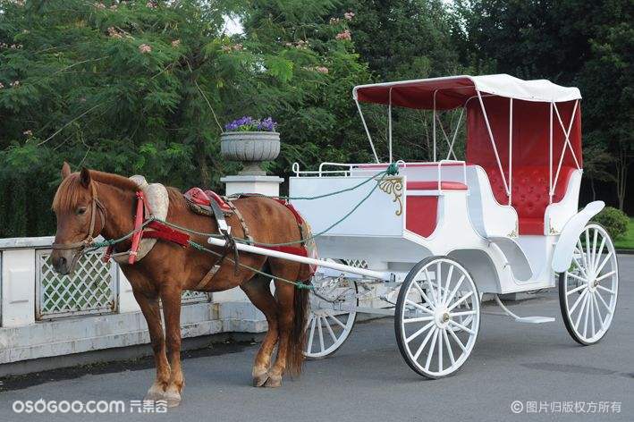 歐式馬車,馬車,四輪馬車屬於旅遊用品,是西方國家貴族所使用的一種