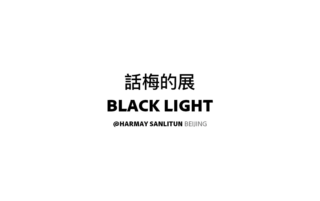 話梅的展,赵赵“光线系列”的开端 ——《黑光》