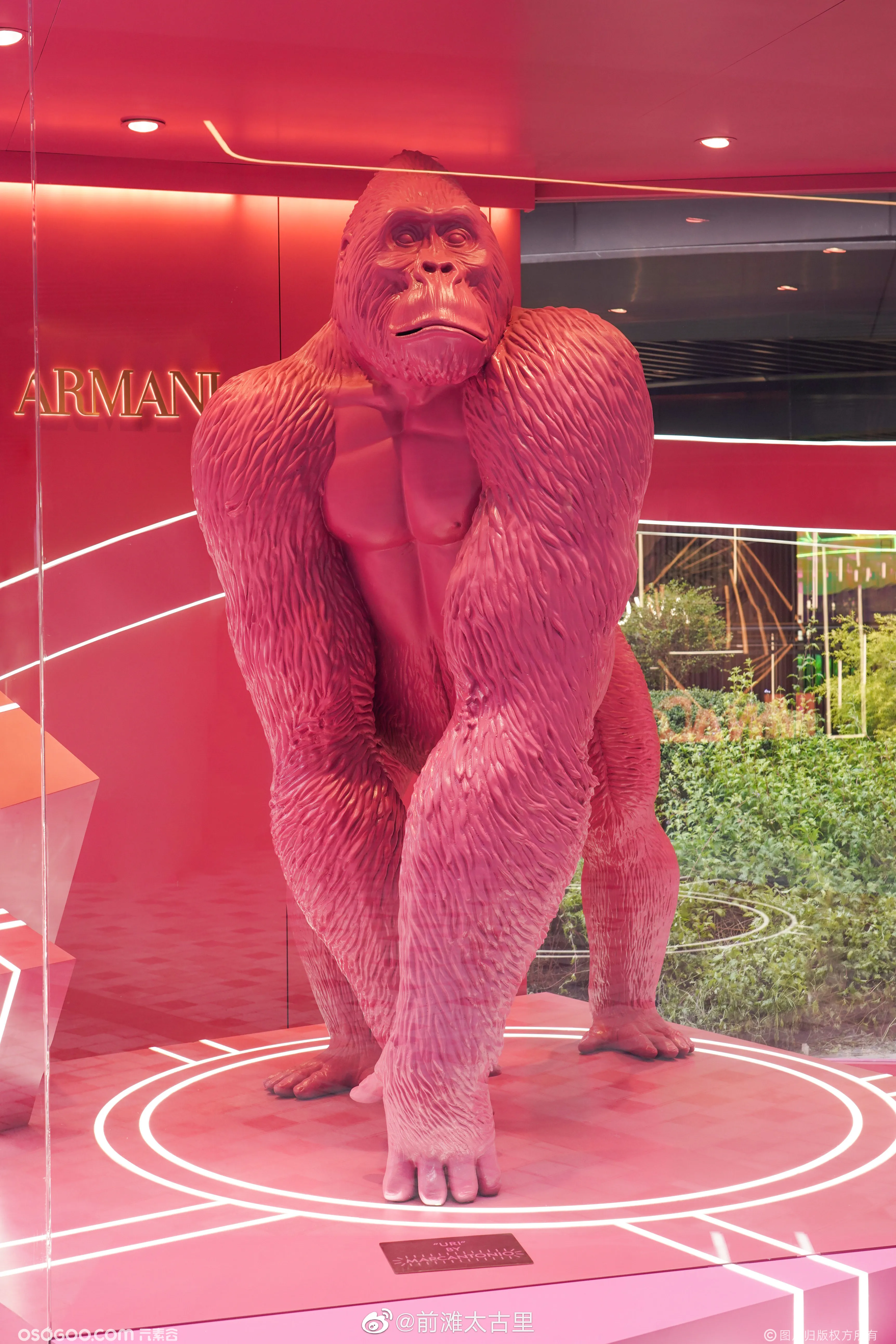 Armani 携传奇巨”猩” URI登陆前滩太古里！