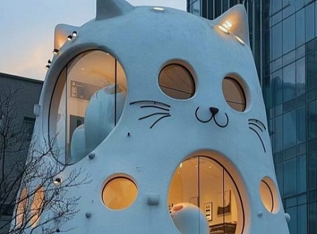 云南广场夜景雕塑 波斯猫建筑雕塑 可爱猫咪建筑