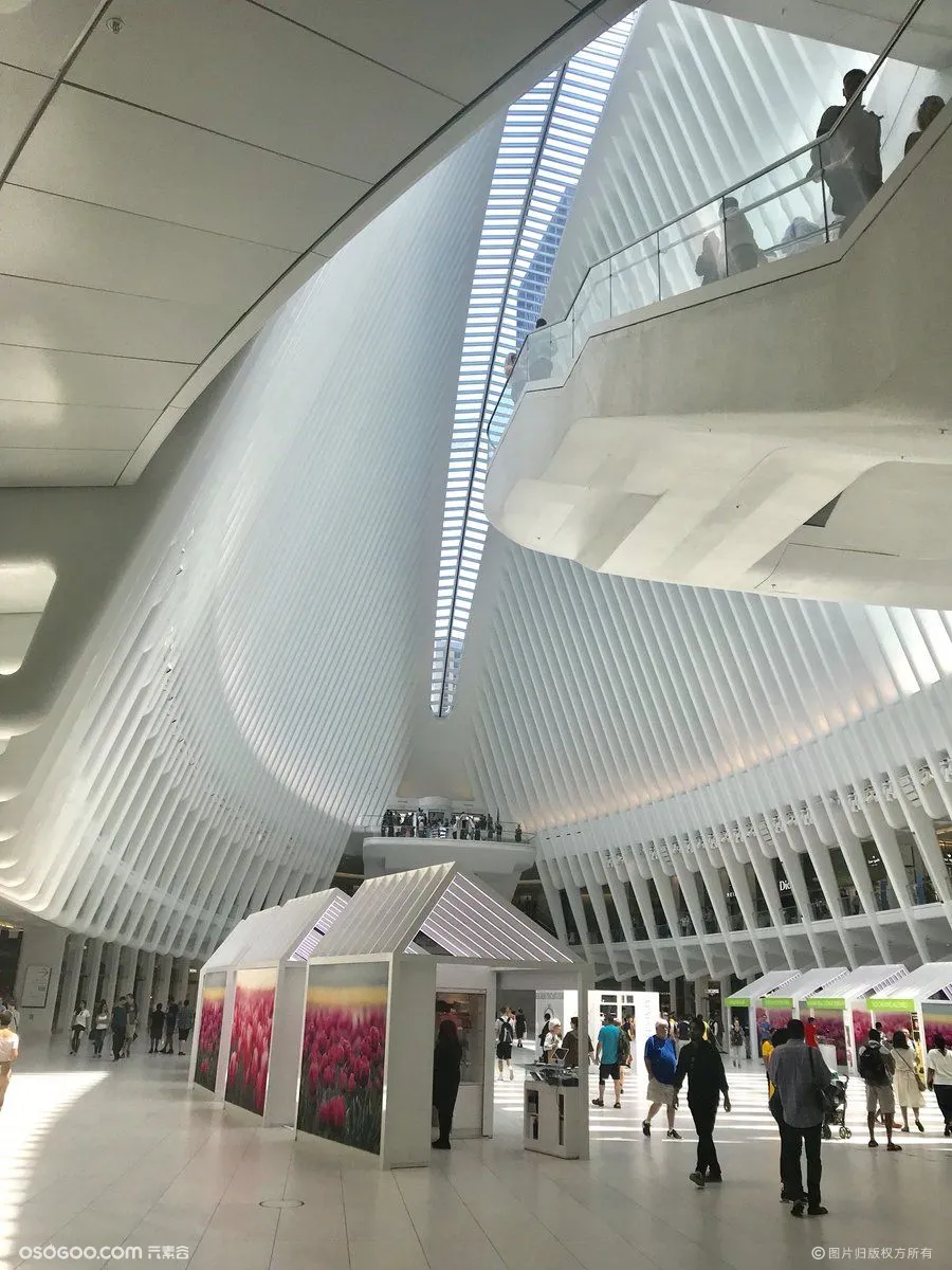 纽约The Oculus车站 流线的美