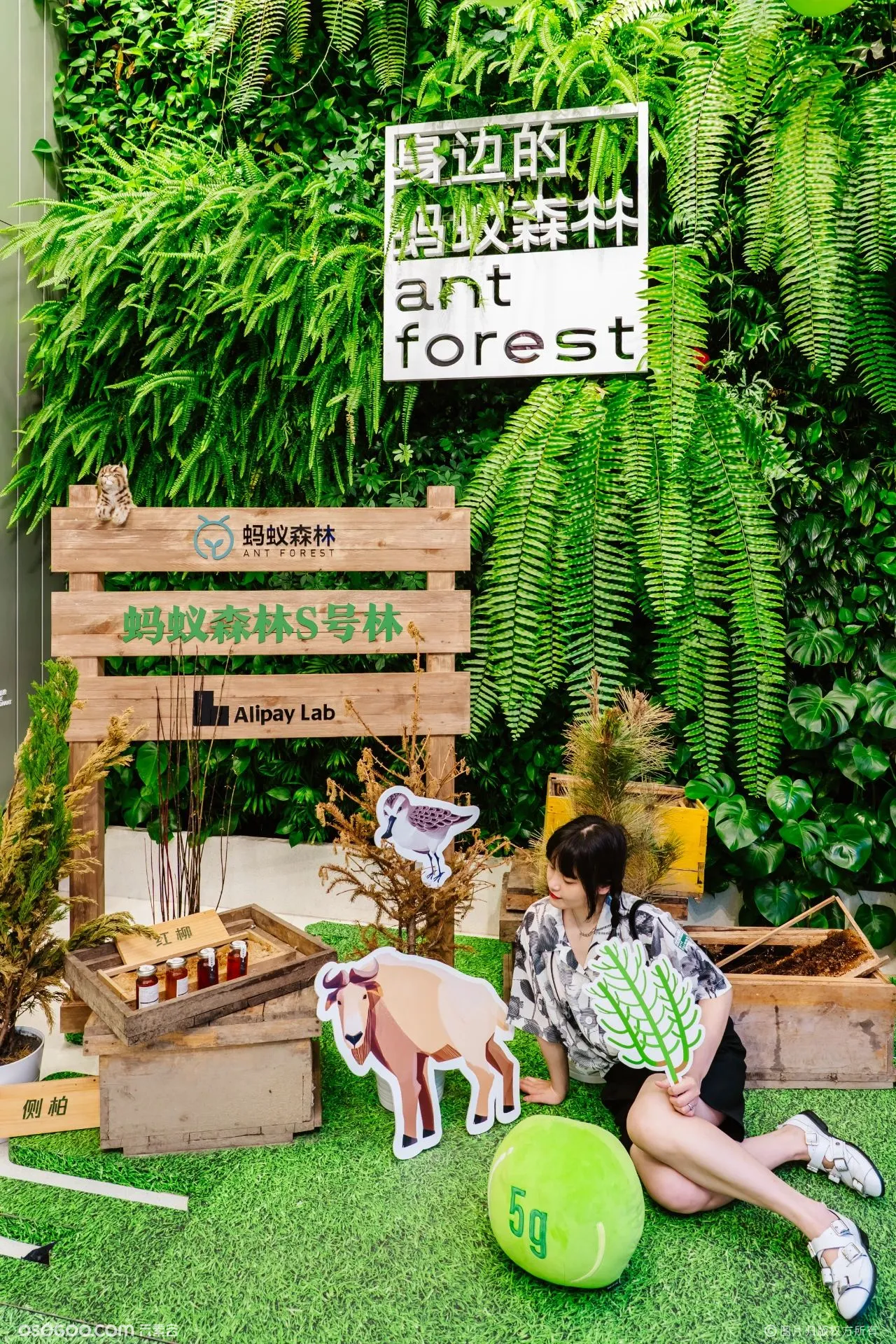“身边的蚂蚁森林”体验展