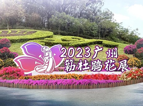 2023广州簕杜鹃花展——共赴云山花开