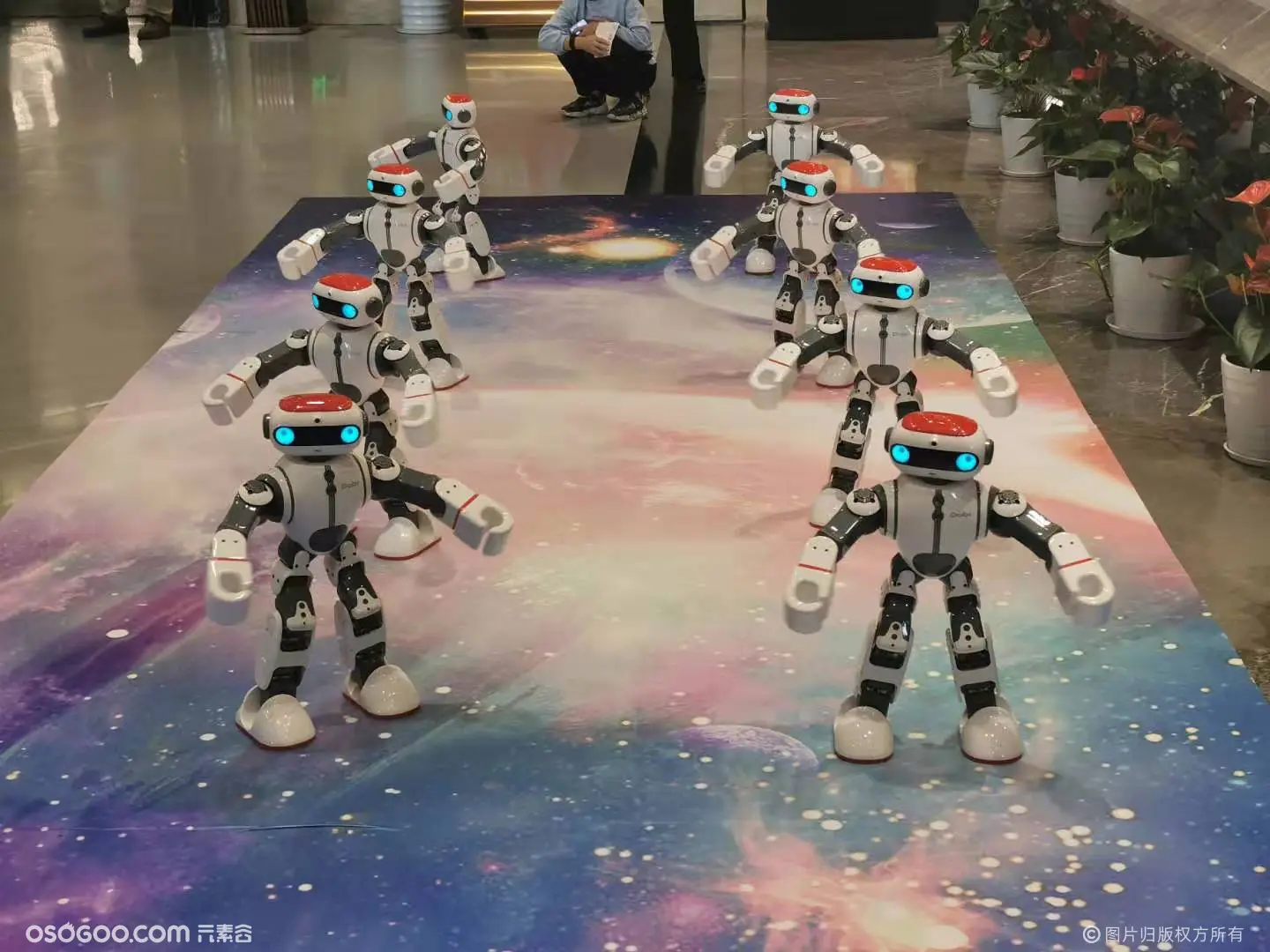 活动展会机器人租赁 展厅讲解互动机器人展览科技周