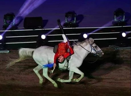 首届内蒙古国际马文化博览会开幕式
